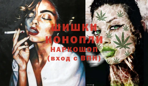 мдпв Богородицк