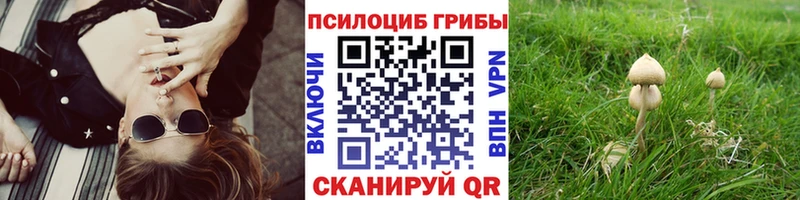 Псилоцибиновые грибы прущие грибы  Надым 